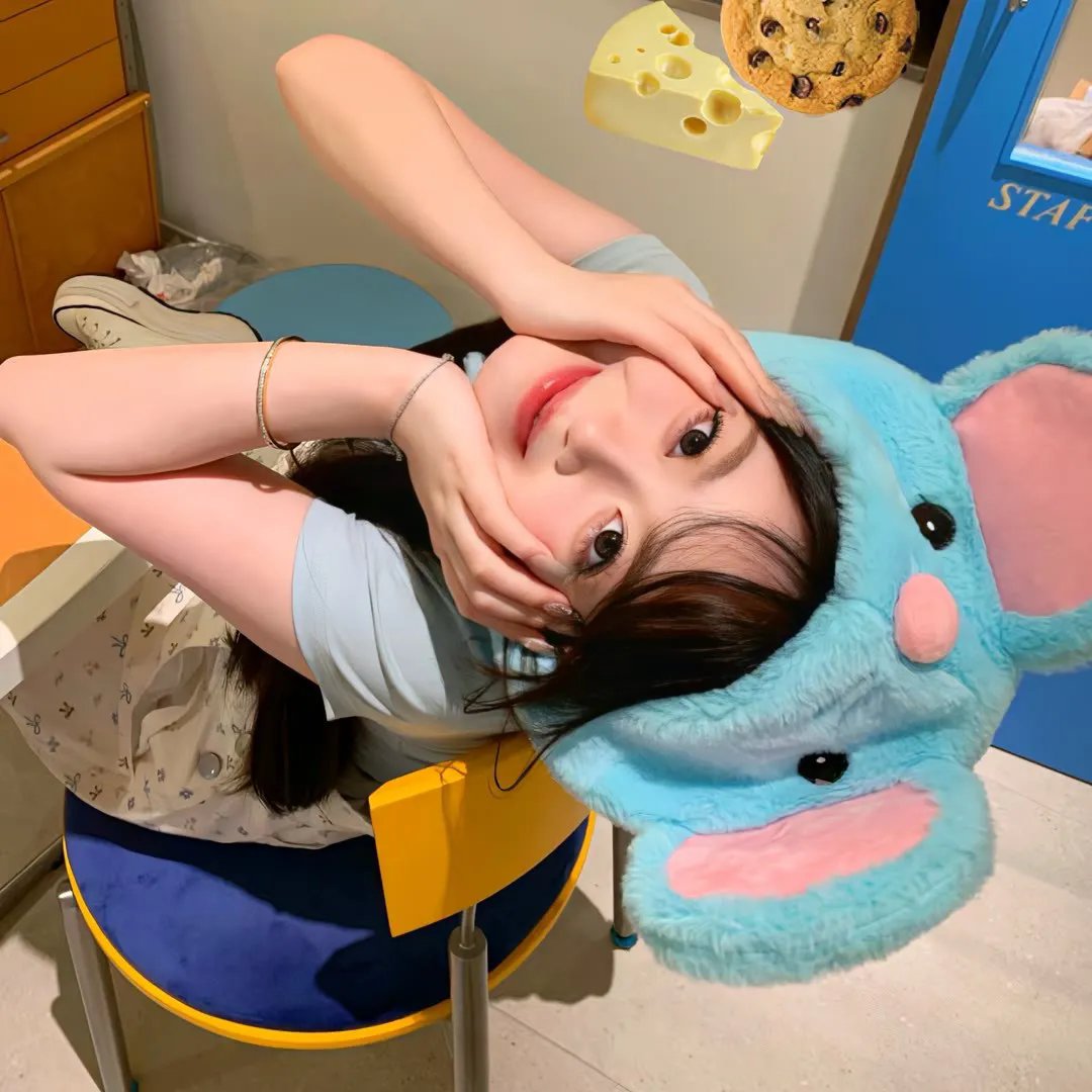 西葫芦的生活